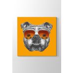 Tabloshop İngiliz Bulldog 50x50cm Tablosu