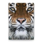 Tabloshop Kaplan Yüzü 100x140 cm Tablo