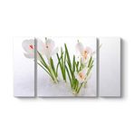 tabloshop Kardelen Çiçeği Kanvas Tablo 126 x 70-3 Parçalı