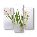 tabloshop Kardelen Çiçeği Kanvas Tablo 96 x 90-3 Parçalı