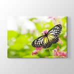 Tabloshop Kelebek 125x80 cm Tablo