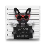Tabloshop Kötü Köpek 100x100 cm Tablo