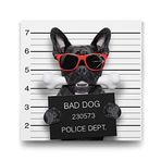 Tabloshop Kötü Köpek 70x70 cm Tablo