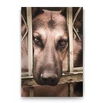 Tabloshop Kurt Köpeği 70x100 cm Tablo