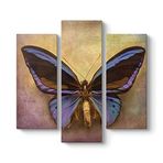 tabloshop Kurutulmuş Kelebek 3 Parçalı Tablo 96 x 90-3 Parçalı