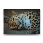 Tabloshop Leopar 60x40 cm Tablo