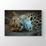 Tabloshop Leopar 90x60 cm Tablo