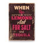 Tabloshop Limon Tuz ve Tekila 40x60 cm Tablo