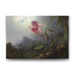 Tabloshop Martin Johnson Heade Sinek Kuşları ve Orkide 125x80 cm Tablo
