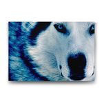 Tabloshop Mavi Kurt 100x70 cm Tablo