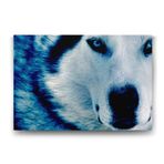 Tabloshop Mavi Kurt 75x50 cm Tablo