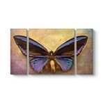 tabloshop Modern Kelebek Tablo 126 x 70-3 Parçalı