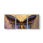 tabloshop Modern Kelebek Tablo 156 x 70-3 Parçalı