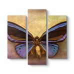 tabloshop Modern Kelebek Tablo 96 x 90-3 Parçalı