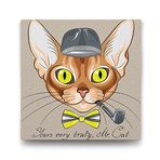 Tabloshop Mr. Cat 40x40 cm Tablo