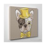 Tabloshop Mr. French Bulldog 60x60 cm Tablo