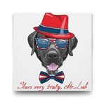 Tabloshop Mr. Labrador 70x70 cm Tablo