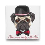 Tabloshop Mr. Pug 80x80 cm Tablo