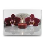 Tabloshop Mum Ve Orkide 125x80 cm Tablo