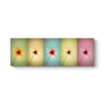 tabloshop Papatyalar Pop Art Panorama Tablo 150 x 50