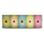 tabloshop Papatyalar Pop Art Panorama Tablo - 180x60cm