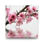 Tabloshop Pembe Çiçek Ve Su 70x70 cm Tablo