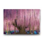 TabloShop -Pembe Wisteria Ağacı 100x70 cm Tablo