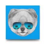 Tabloshop Pomeranian Boo 70x70 cm Tablo