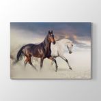Tabloshop Rahvan At 75x50 cm Tablo