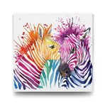 Tabloshop Renkli Zebralar 70x70 cm Tablo