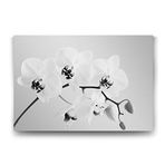 Tabloshop Siyah Beyaz Orkide 100x70 cm Tablo