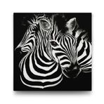 Tabloshop Siyah Beyaz Zebra 50x50 cm Tablo