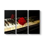 tabloshop Solo Ritmo Rose Tablo 111 x 75-3 Parçalı