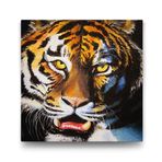 Tabloshop Yağlıboya Kaplan 50x50cm Tablo