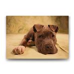 Tabloshop Yavru Pitbull 75x50 cm Tablo