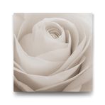Tabloshop Yeşil Gözlü Beyaz Kaplan 60x60cm Tablosu