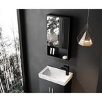 Taç Dekorasyon Tek Kapaklı Aynalı Siyah Banyo Dolabı Üst Modülü