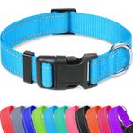 Taglory Köpek Yavrusu Küçük Orta Büyük Köpekler için Yansıtıcı Ayarlanabilir Köpek Tasmaları, İnce Naylon Dokuma ve Hızlı Bırakma Plastik Toka (Aqua Mavi Orta)