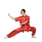 Tai Chi Kıyafeti, Kung Fu Takım Elbise Çok Renkli 125-185cm(Red,175-185cm)
