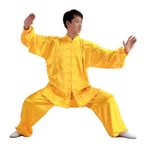 Tai Chi Kıyafeti, Kung Fu Takım Elbise Tai Chi Giyim Yetişkin Erkekler Ve Kadınlar İçin İpek Çok Renkli Çoklu Boyutlar(Gold,XX-Large)