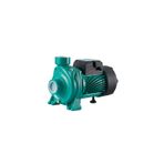 Taifu Tek Kademeli Salyangoz Tonajlı Santrifüj Pompa - Thf6b-1 (2 HP)