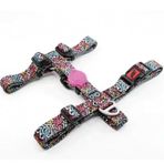Tailpetz 62-107 cm L Harness Graffiti Büyük Irk Köpek Göğüs Tasması