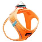 Tailpetz Air Mash Harness Turuncu Medium Göğüs Tasması