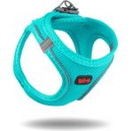 Tailpetz Air-Mesh Harness Köpek Göğüs Tasması Large Okyanus - Turkuaz