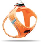 Tailpetz Air-mesh Harness Köpek Göğüs Tasması Neon Turuncu