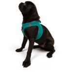 Tailpetz Air-Mesh Harness Köpek Göğüs Tasması Small Zümrüt - Yeşil
