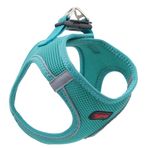 Tailpetz Air-Mesh Harness XL Yeşil Köpek Göğüs Tasması