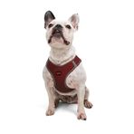 Tailpetz Air-Mesh Küçük ve Orta Irk Kedi Köpek Göğüs Tasması - Yumuşak, Nefes Alabilir, Dayanıklı (Bordo, L)