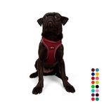 Tailpetz Air-Mesh Küçük ve Orta Irk Kedi Köpek Göğüs Tasması - Yumuşak, Nefes Alabilir, Dayanıklı (Bordo, M)
