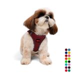 Tailpetz Air-Mesh Küçük ve Orta Irk Kedi Köpek Göğüs Tasması - Yumuşak, Nefes Alabilir, Dayanıklı (Bordo, S)